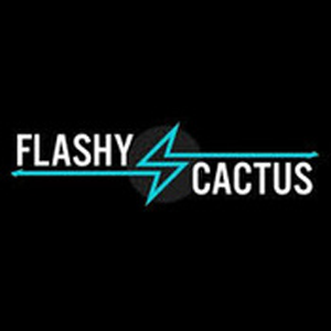 Flashy Cactus : Brand Short Description Type Here.